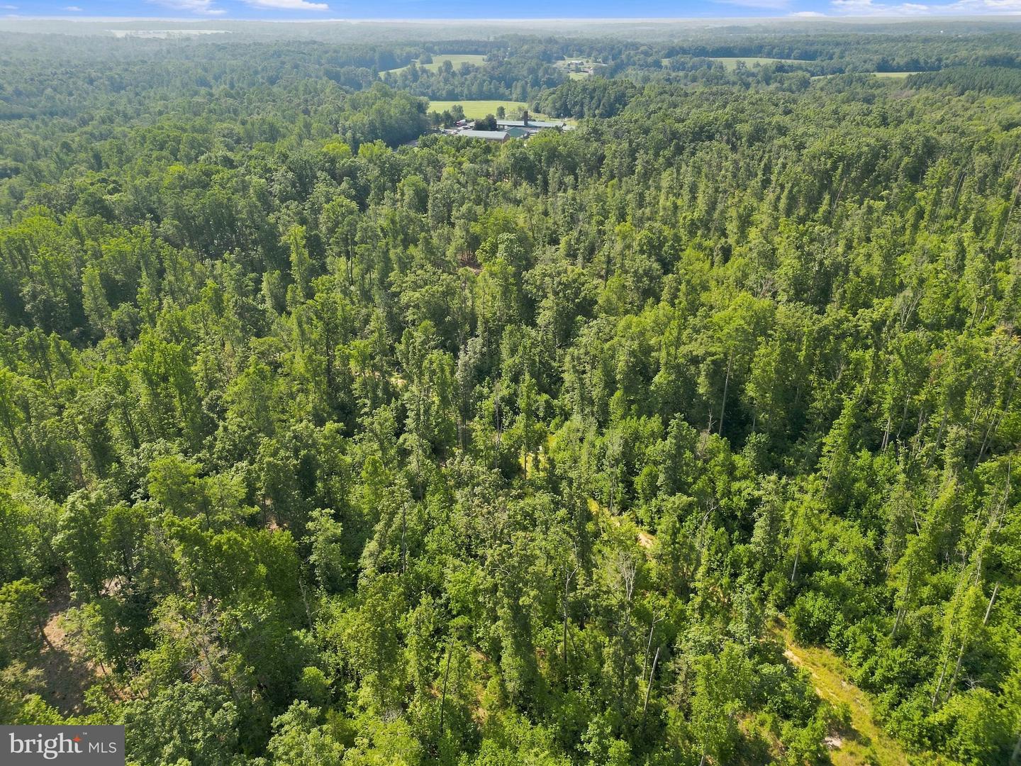 Lot6 Zachary Taylor Hwy Property Photo 12