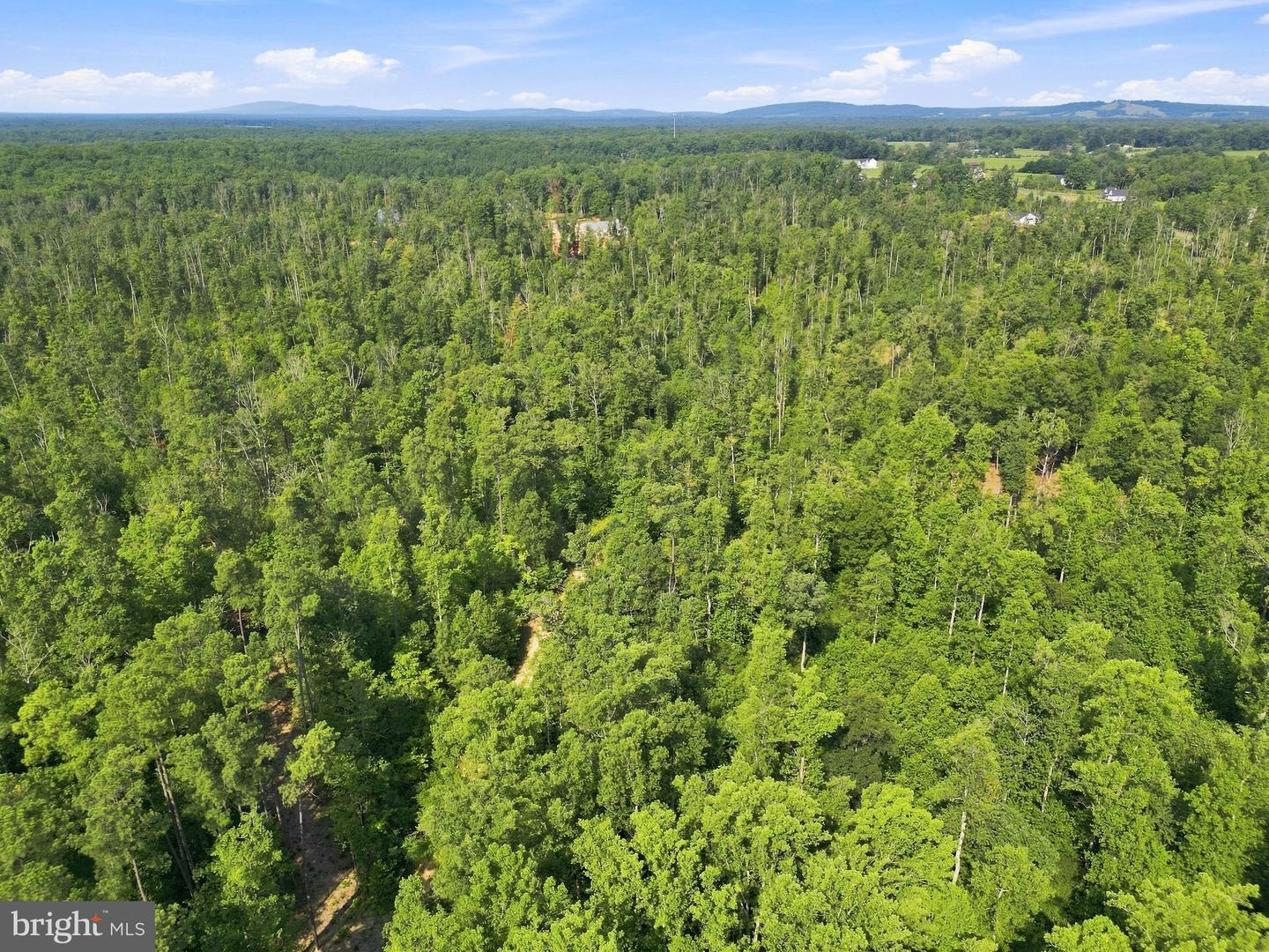 Lot6 Zachary Taylor Hwy Property Photo 17
