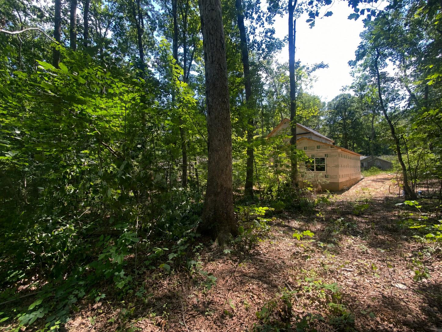 122 Tall Pines Ave Property Photo 35