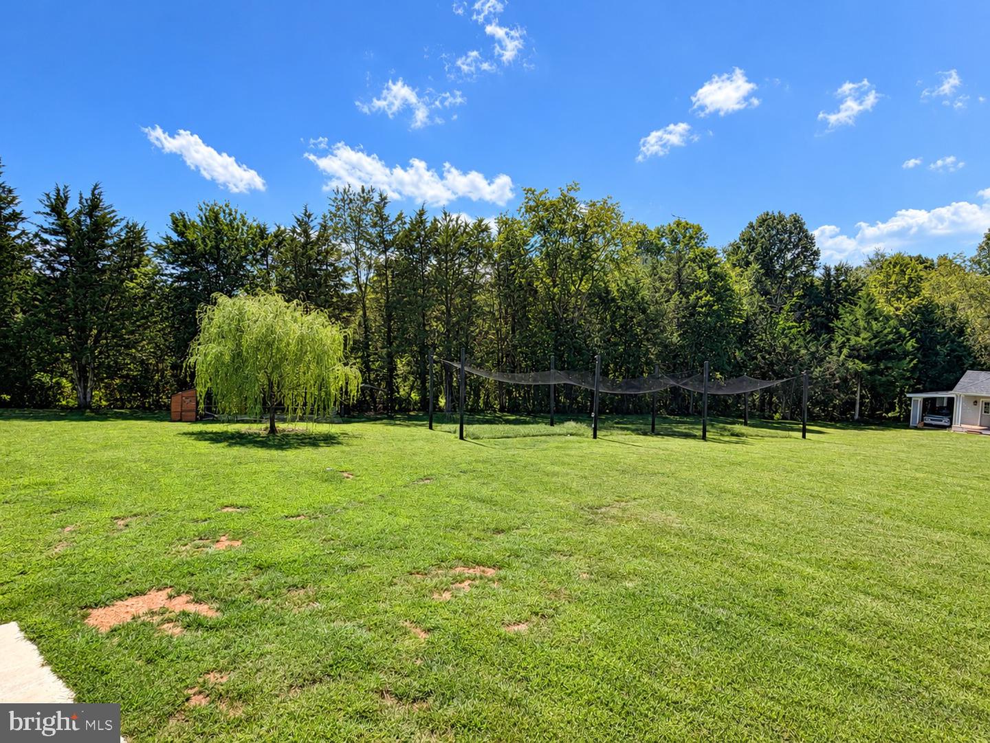 7154 Cornfield Ln Property Photo 30