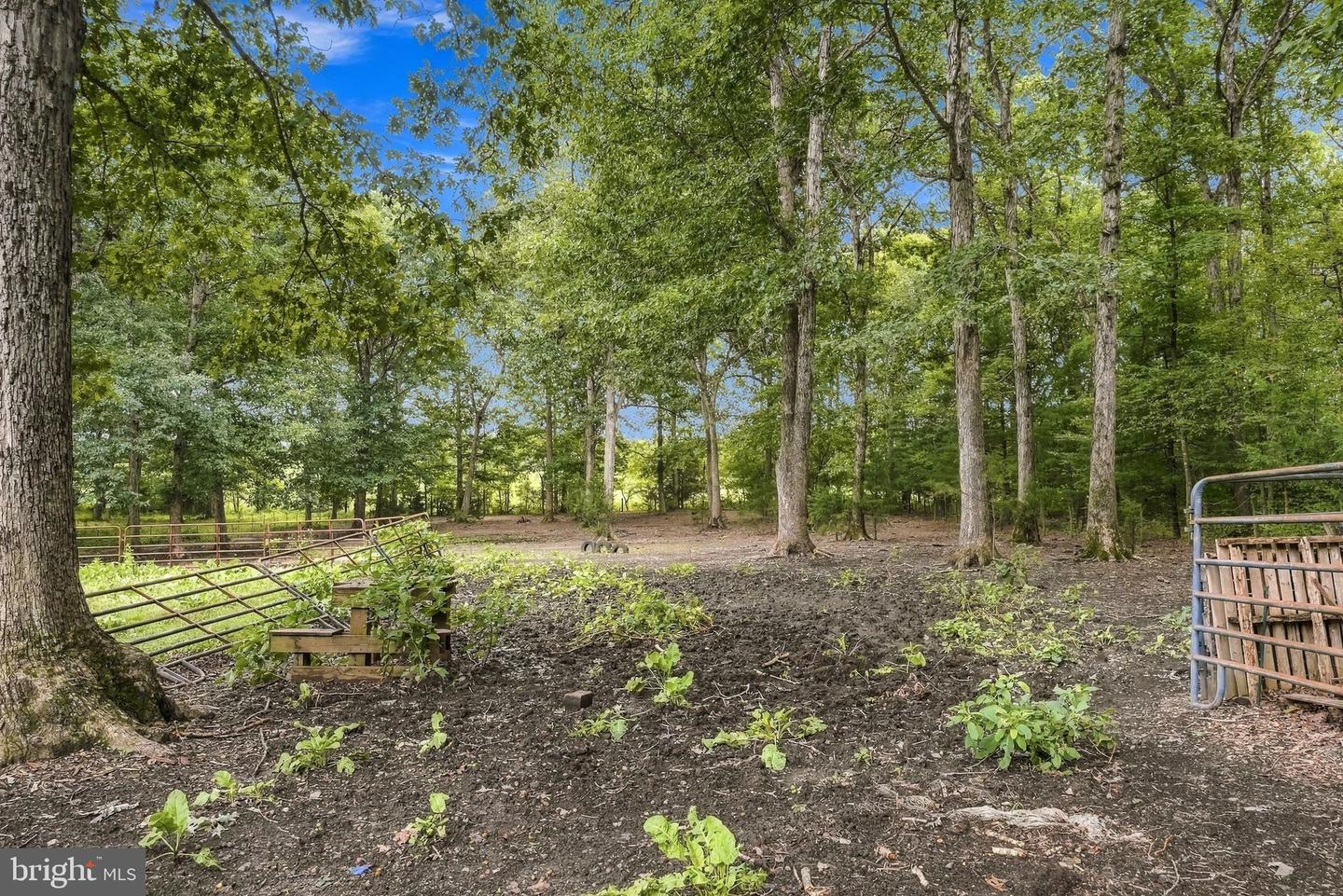 5273 True Blue Rd Property Photo 26