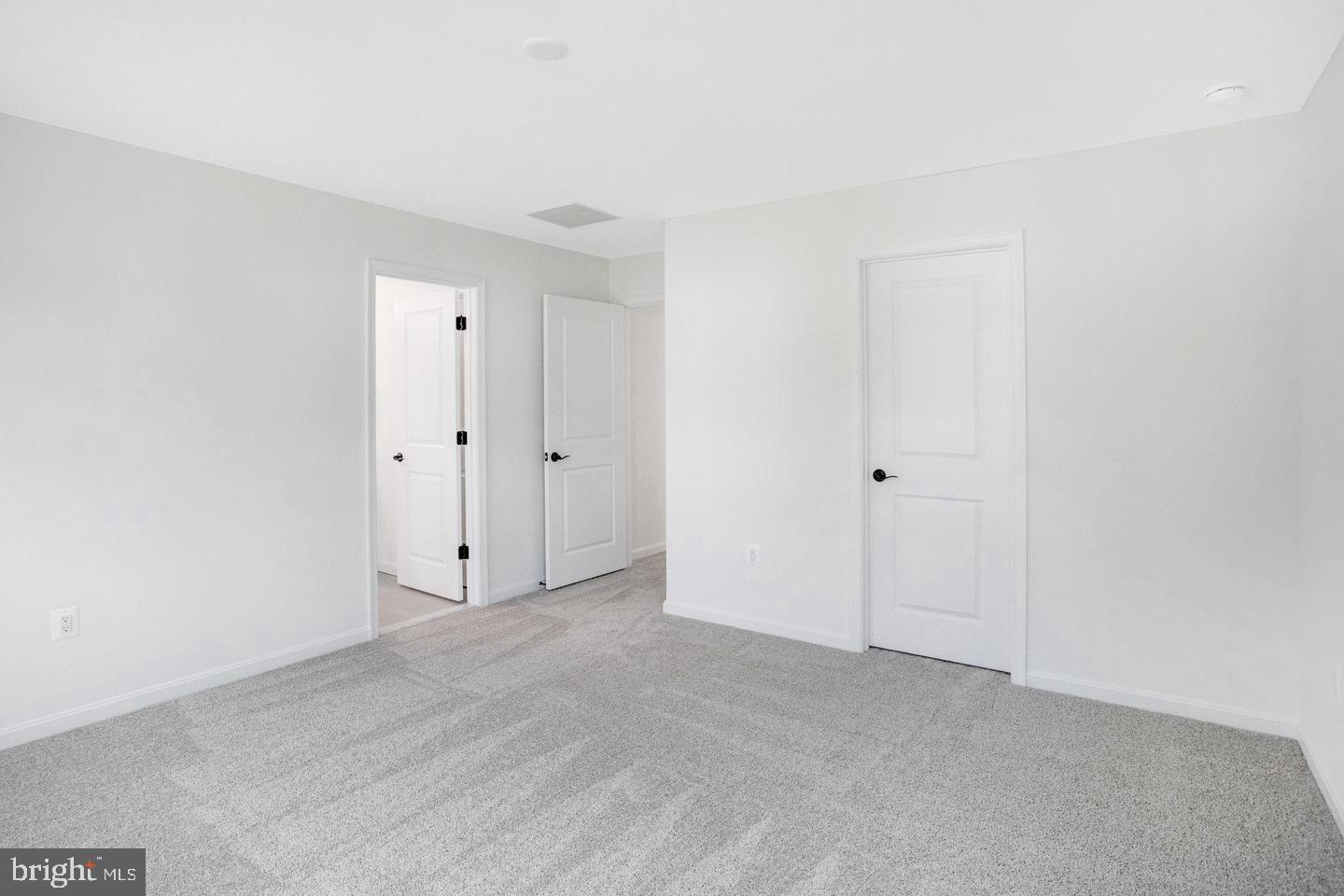 35598 Pine Needle Ln Property Photo 15