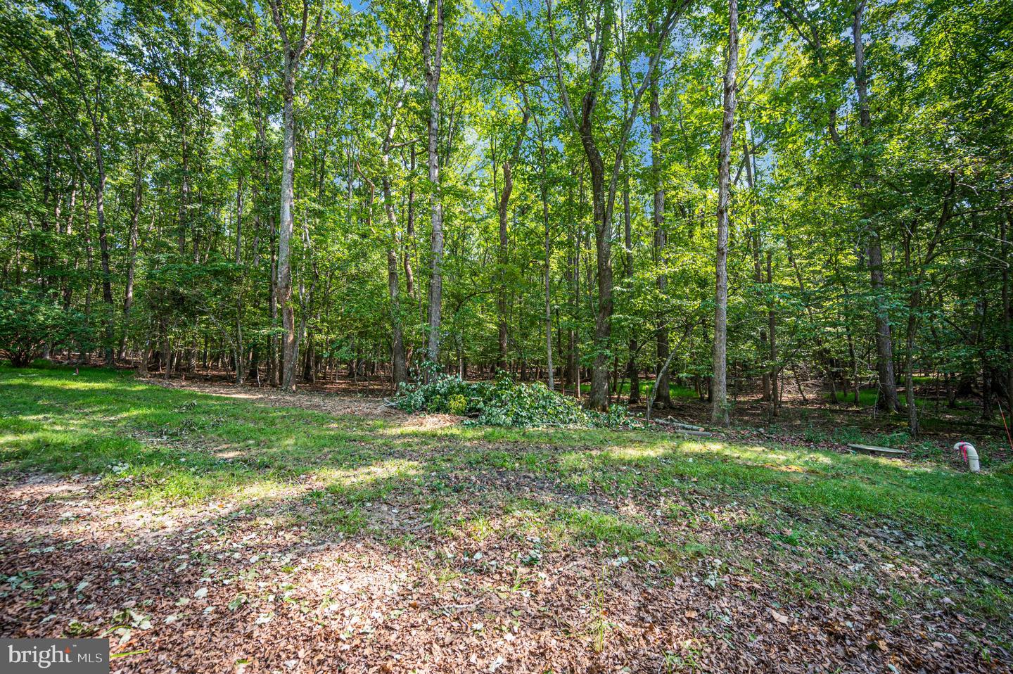 220 Creekside Dr Property Photo 40