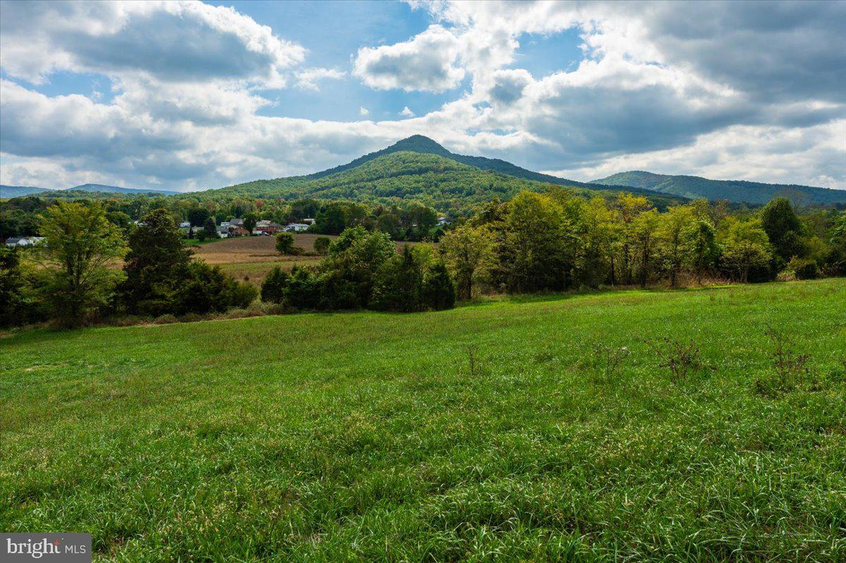 Tbd Judy Lane Property Photo 14
