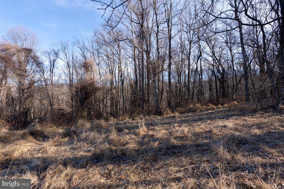 TBD OVERLOOK MOUNTAIN Property Photo 1