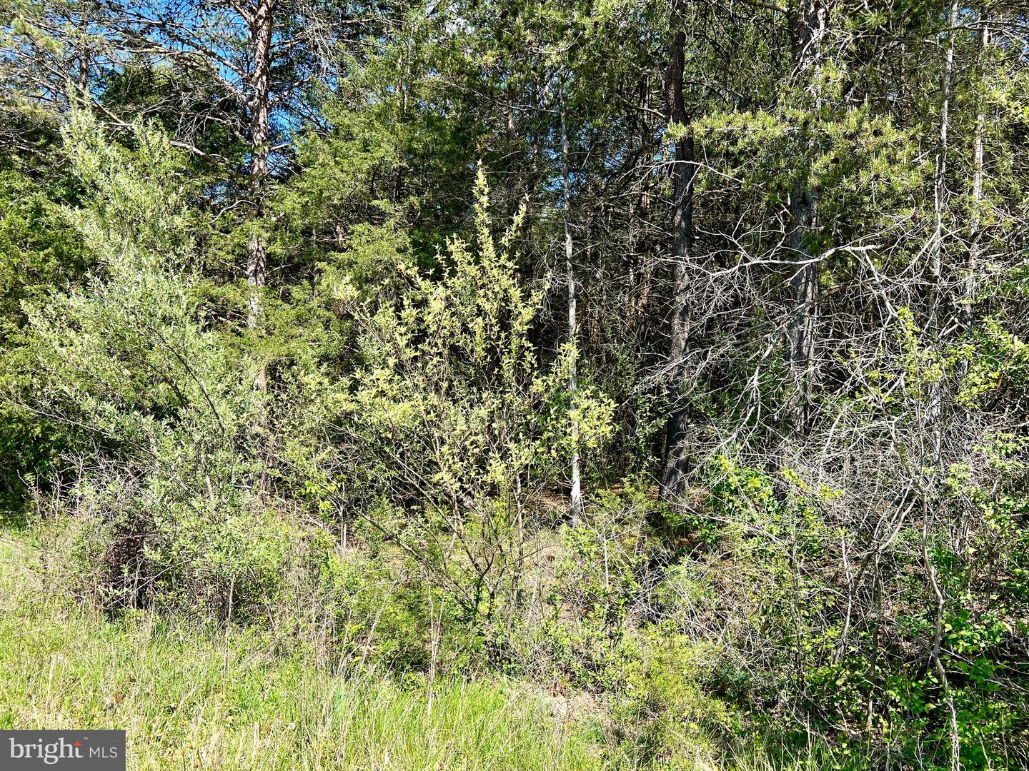 Tbd Riverview Dr Property Photo