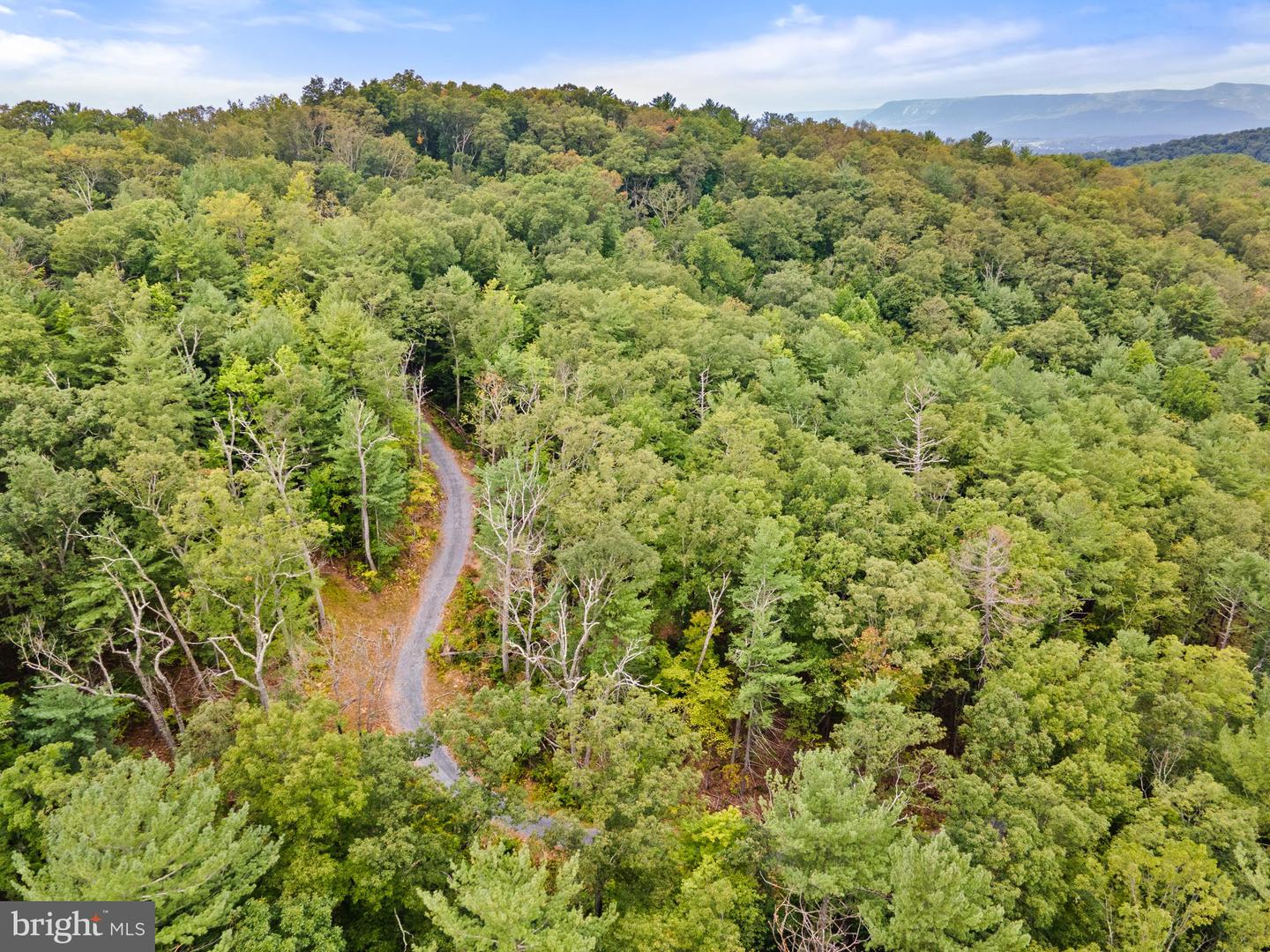 0 Dry Run Road Property Photo 19