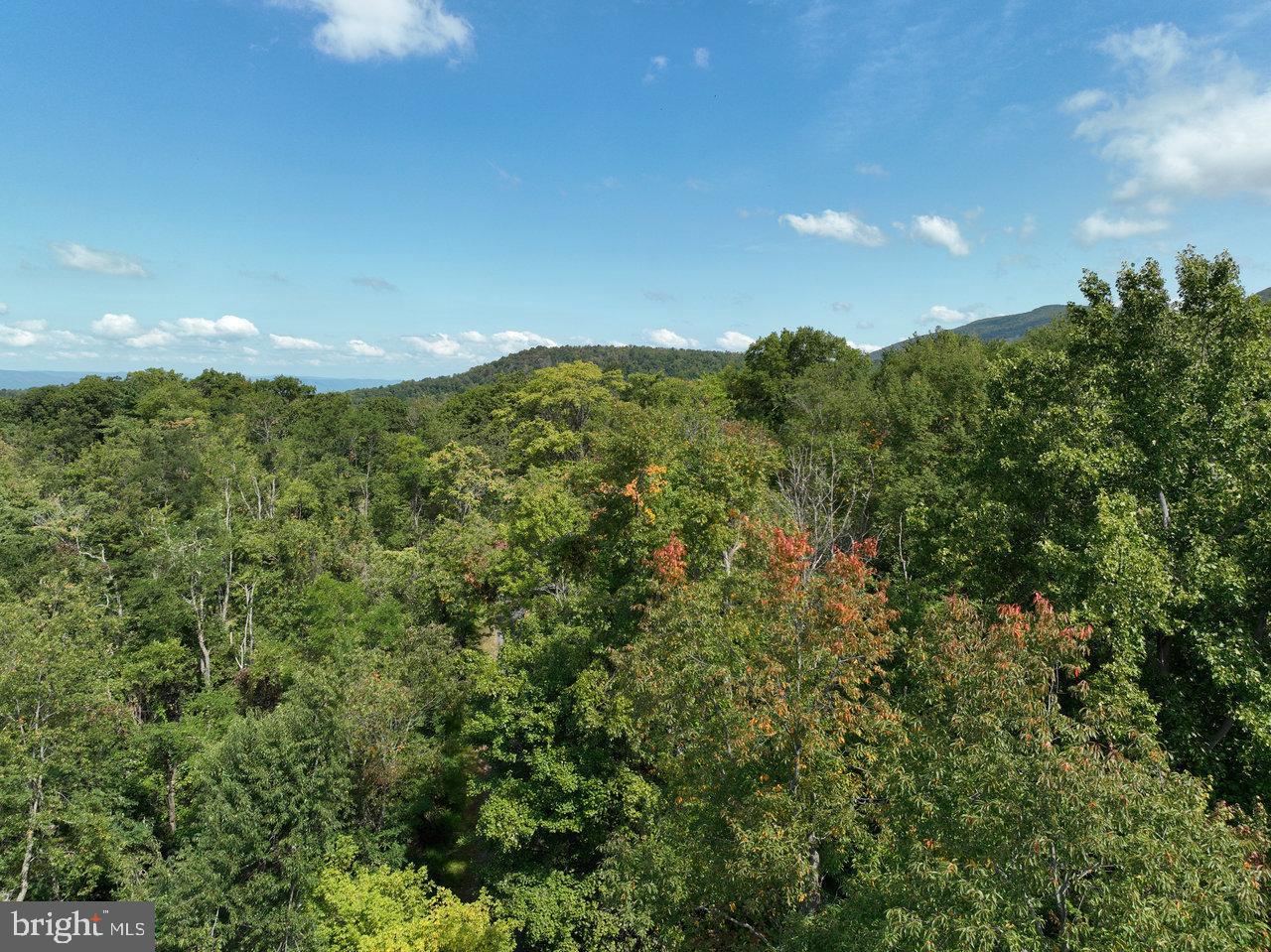 Lot 2 Price Ridge Rd Property Photo 6