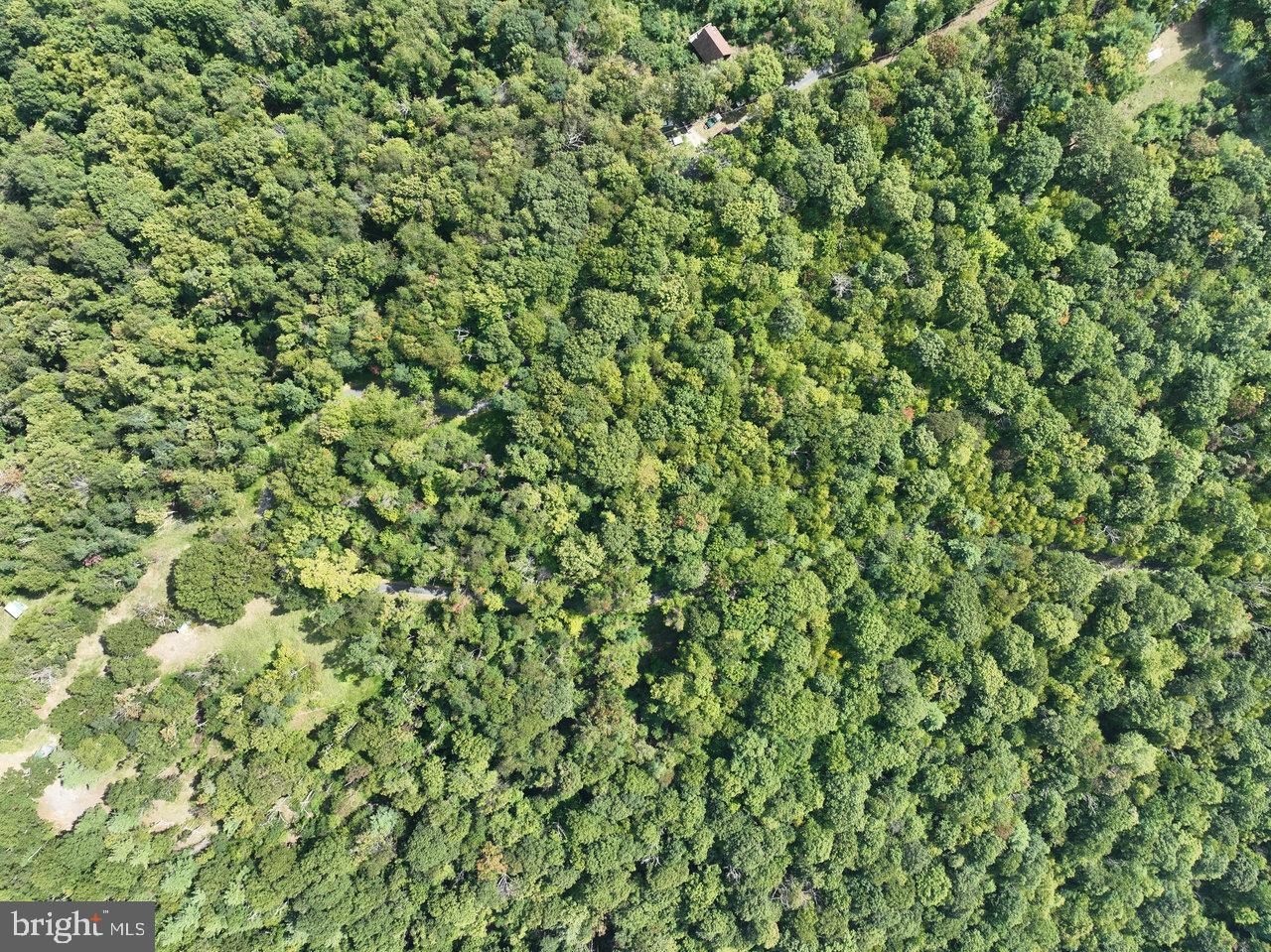 Lot 2 Price Ridge Rd Property Photo 17