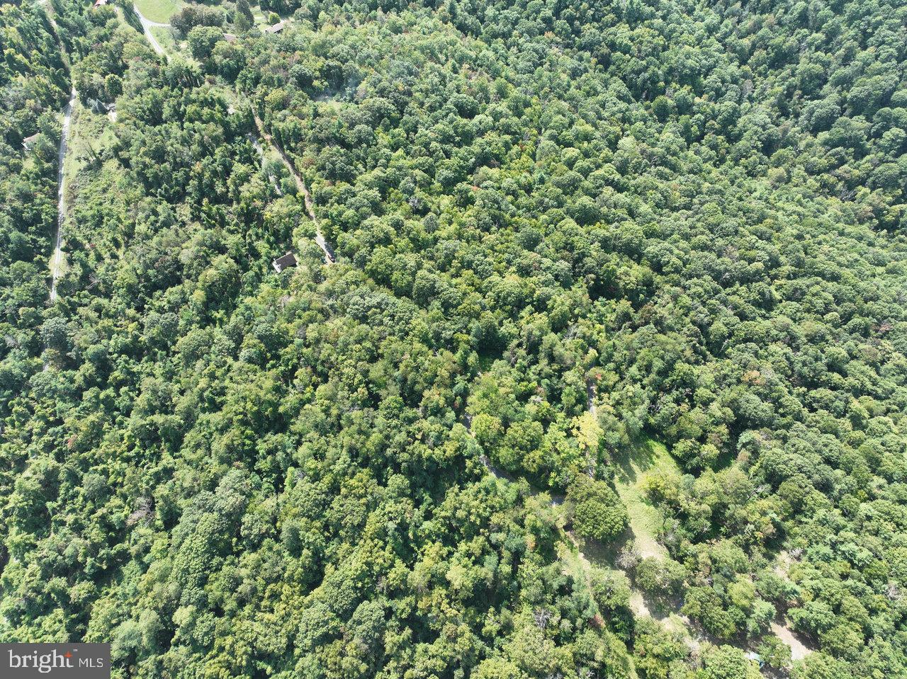 Lot 2 Price Ridge Rd Property Photo 18