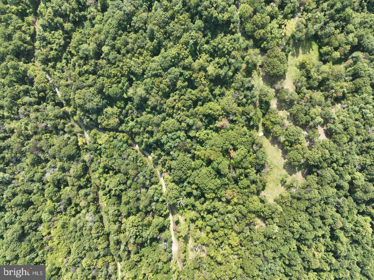 Lot 2 Price Ridge Rd Property Photo 23