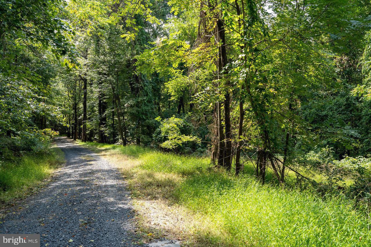Lot 2 Price Ridge Rd Property Photo 32