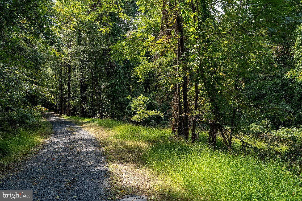 Lot 2 Price Ridge Rd Property Photo 33