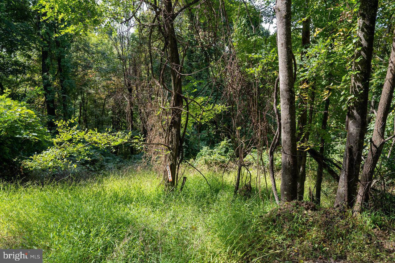 Lot 2 Price Ridge Rd Property Photo 36