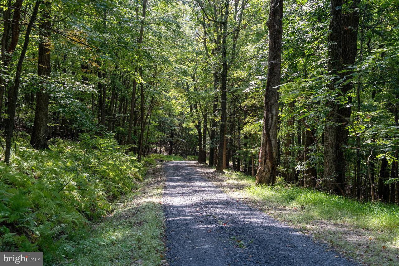 Lot 2 Price Ridge Rd Property Photo 38