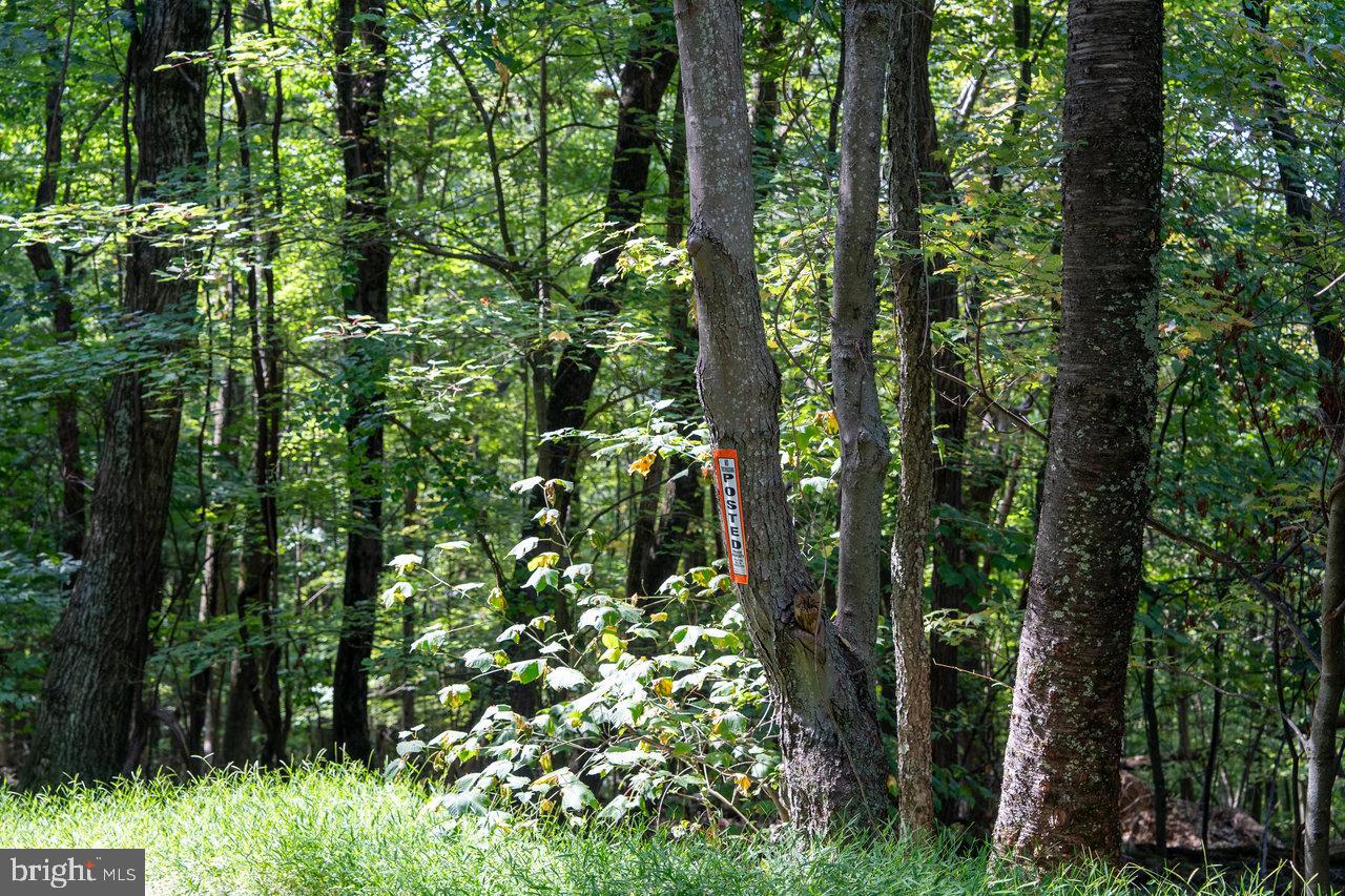 Lot 2 Price Ridge Rd Property Photo 39