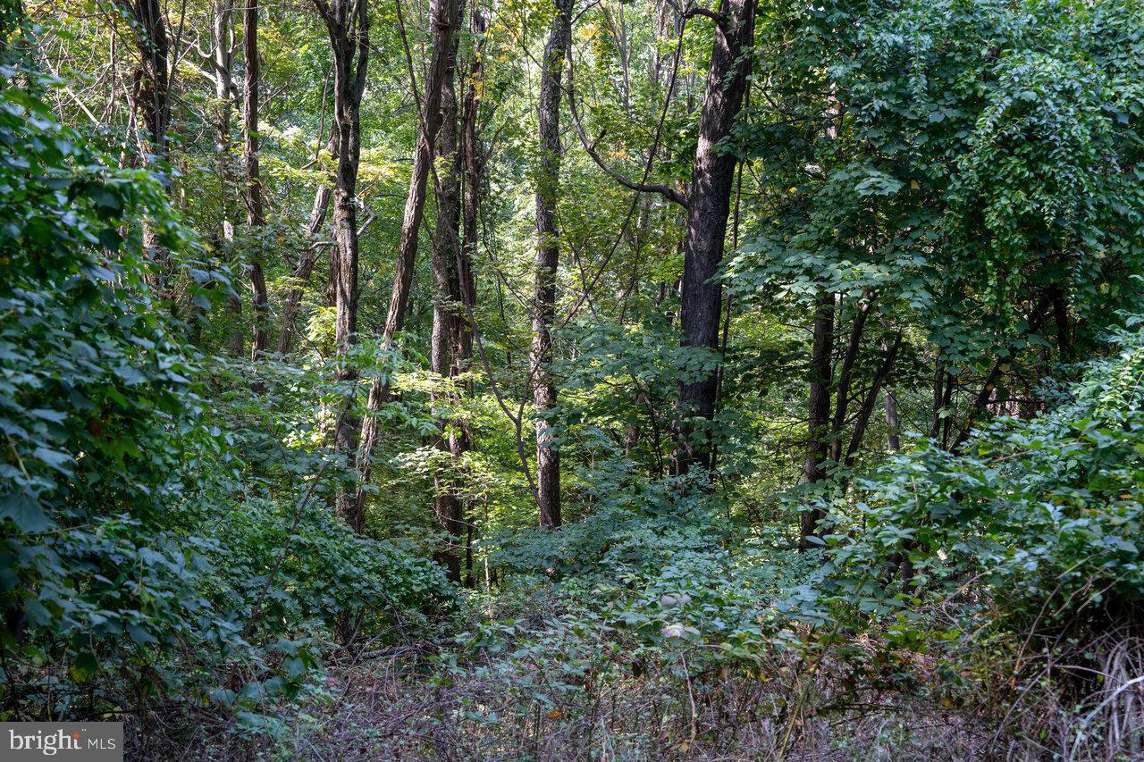 Lot 2 Price Ridge Rd Property Photo 40