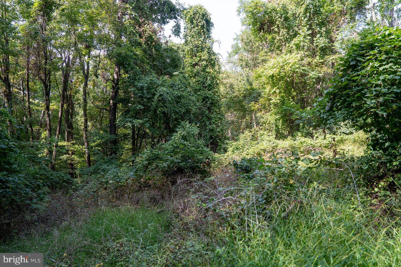 Lot 2 Price Ridge Rd Property Photo 41