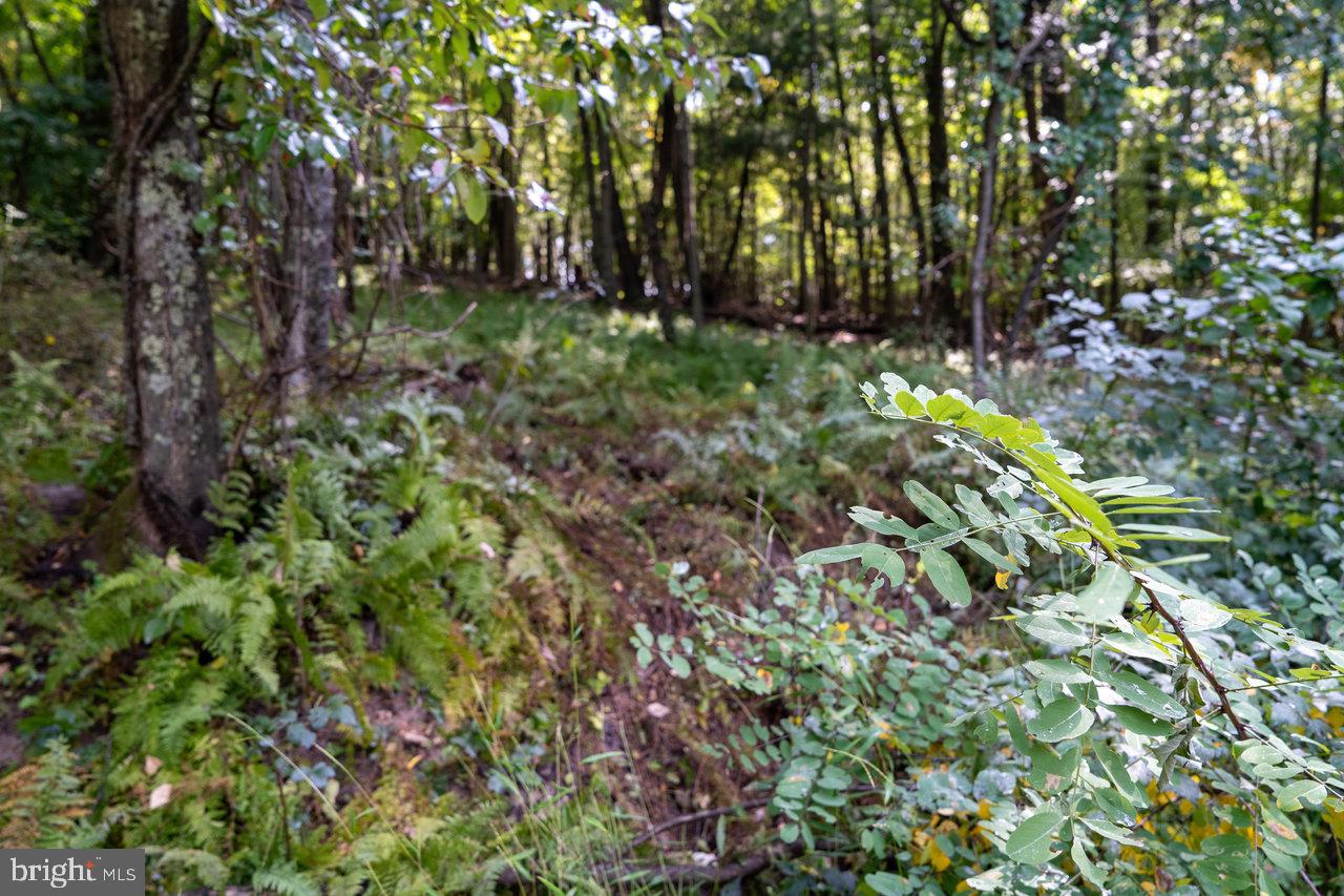 Lot 2 Price Ridge Rd Property Photo 42