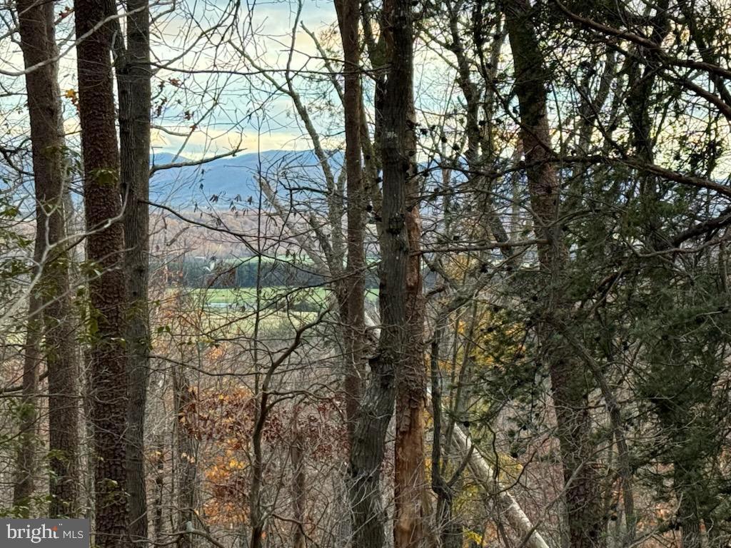 0 Mountain Run Road Property Photo