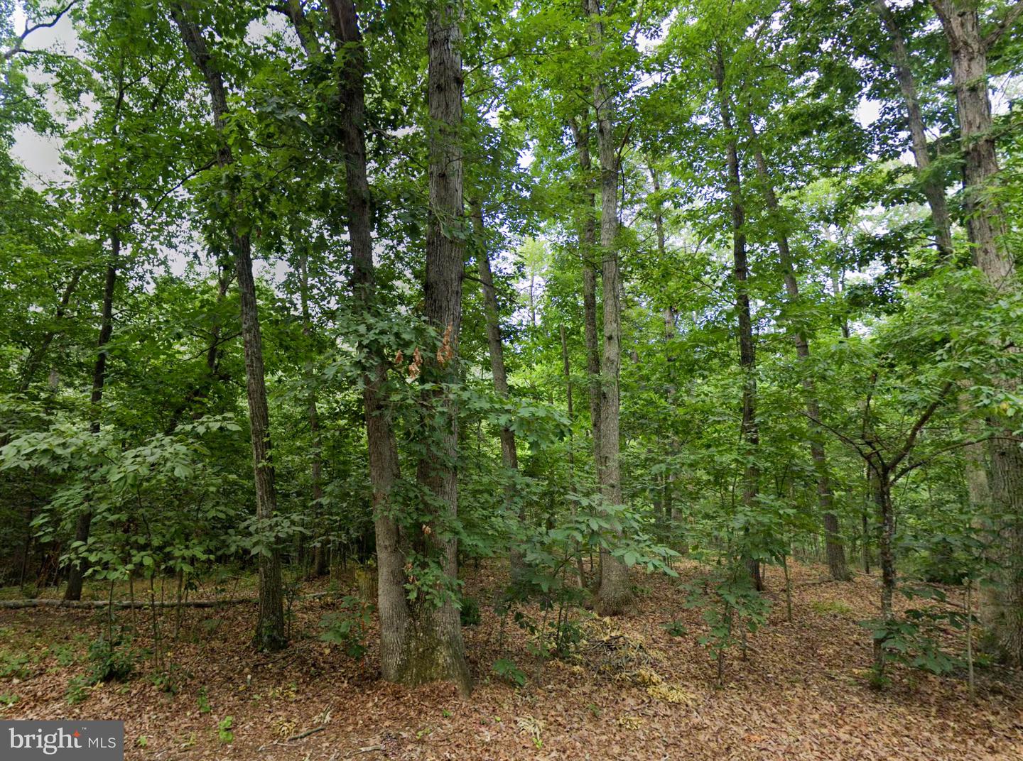 00 Level Hill Rd Property Photo