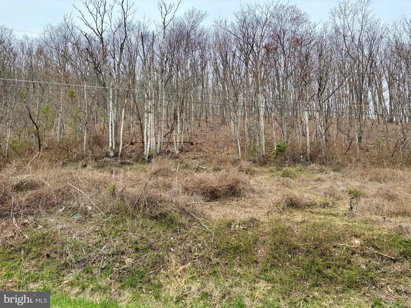 Lot 11b Lucas Hollow Rd Property Photo 1