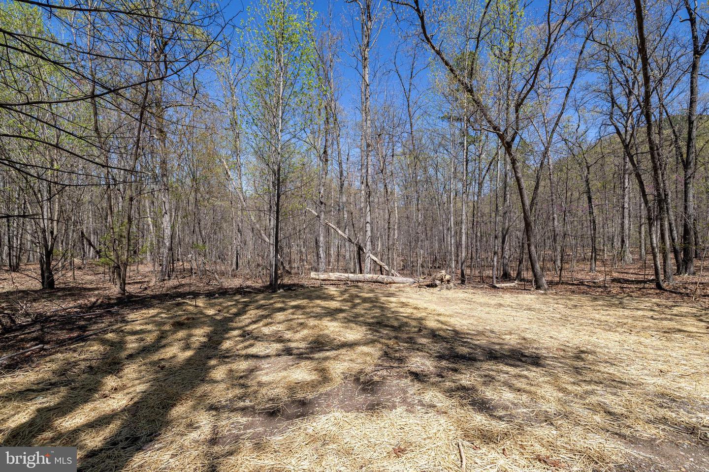 327 Wildwood Ln Property Photo 7