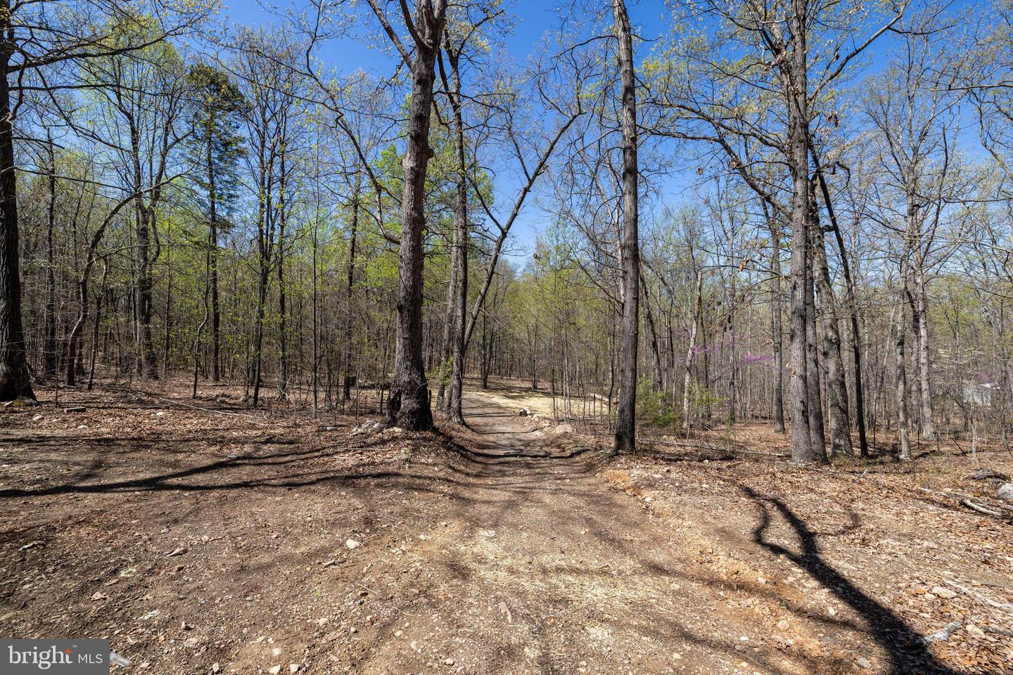 327 Wildwood Ln Property Photo 9