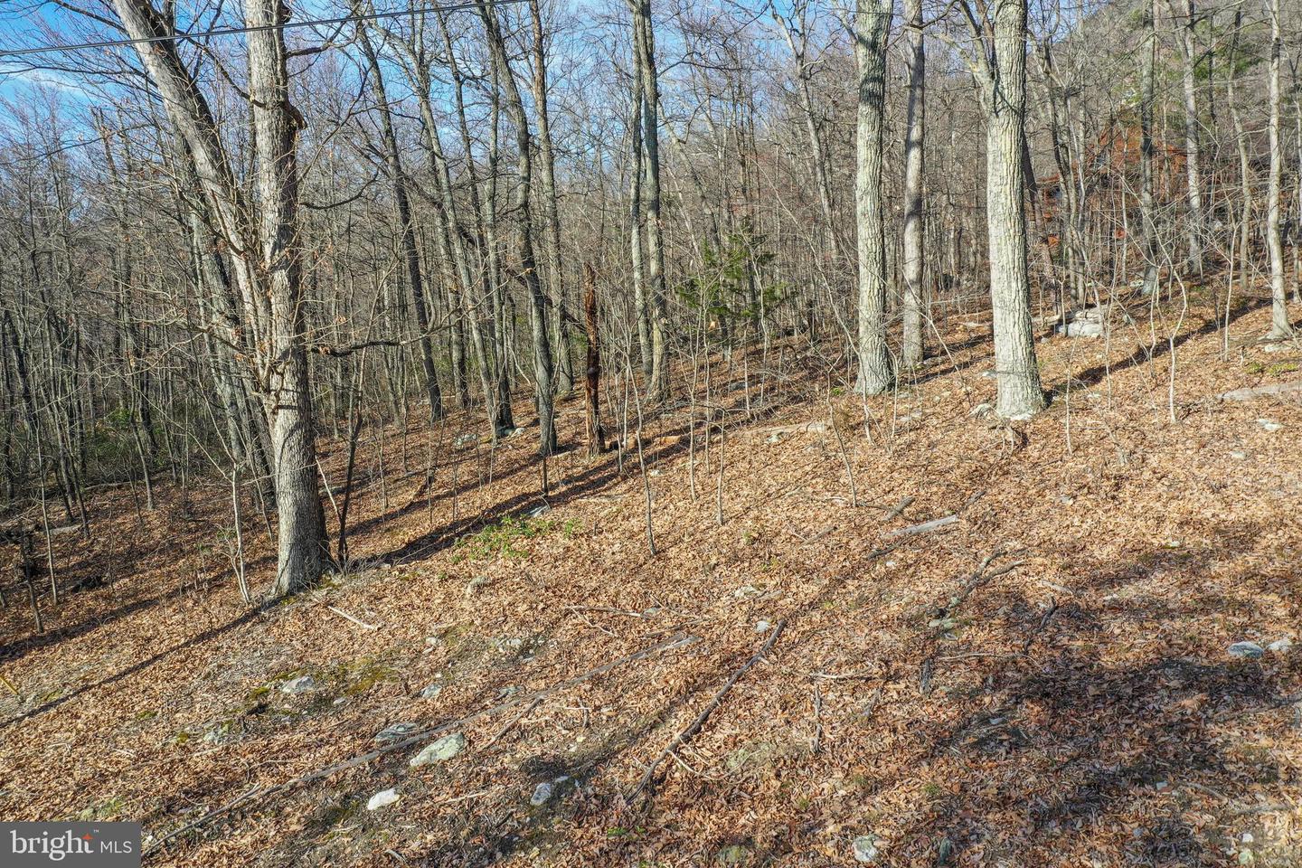 0 Cardinal Dr Property Photo 11