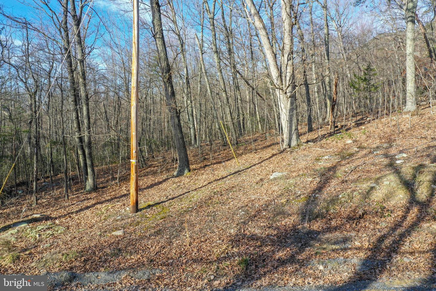 0 Cardinal Dr Property Photo 15