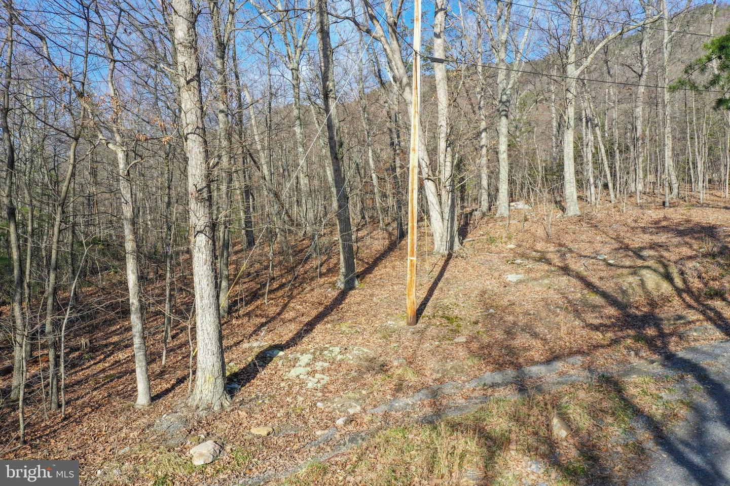 0 Cardinal Dr Property Photo 16