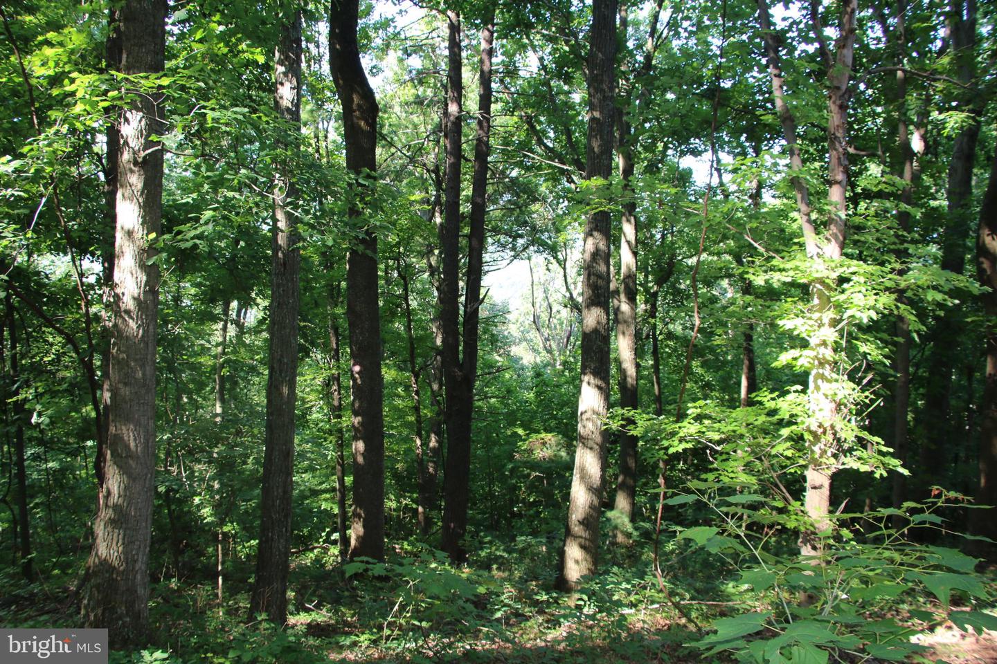 Baxter Dr Property Photo 3