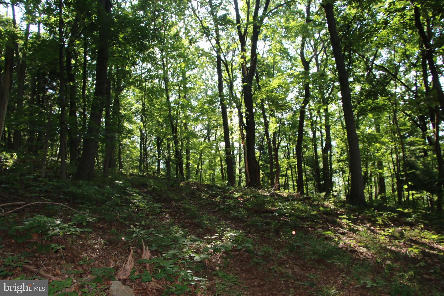 Baxter Dr Property Photo 11