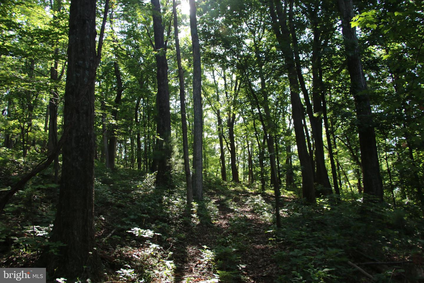 Baxter Dr Property Photo 12