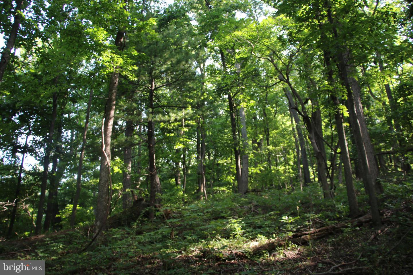 Baxter Dr Property Photo 13