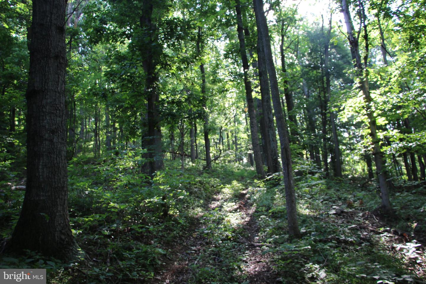 Baxter Dr Property Photo 14