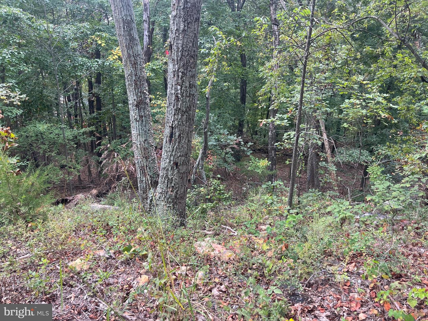 Lot 41 Panorama View Property Photo 1