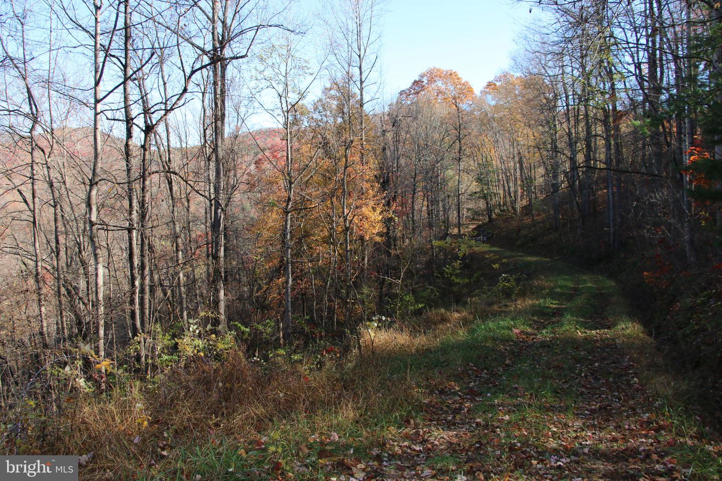 Overlook Mountain Rd Property Photo 15