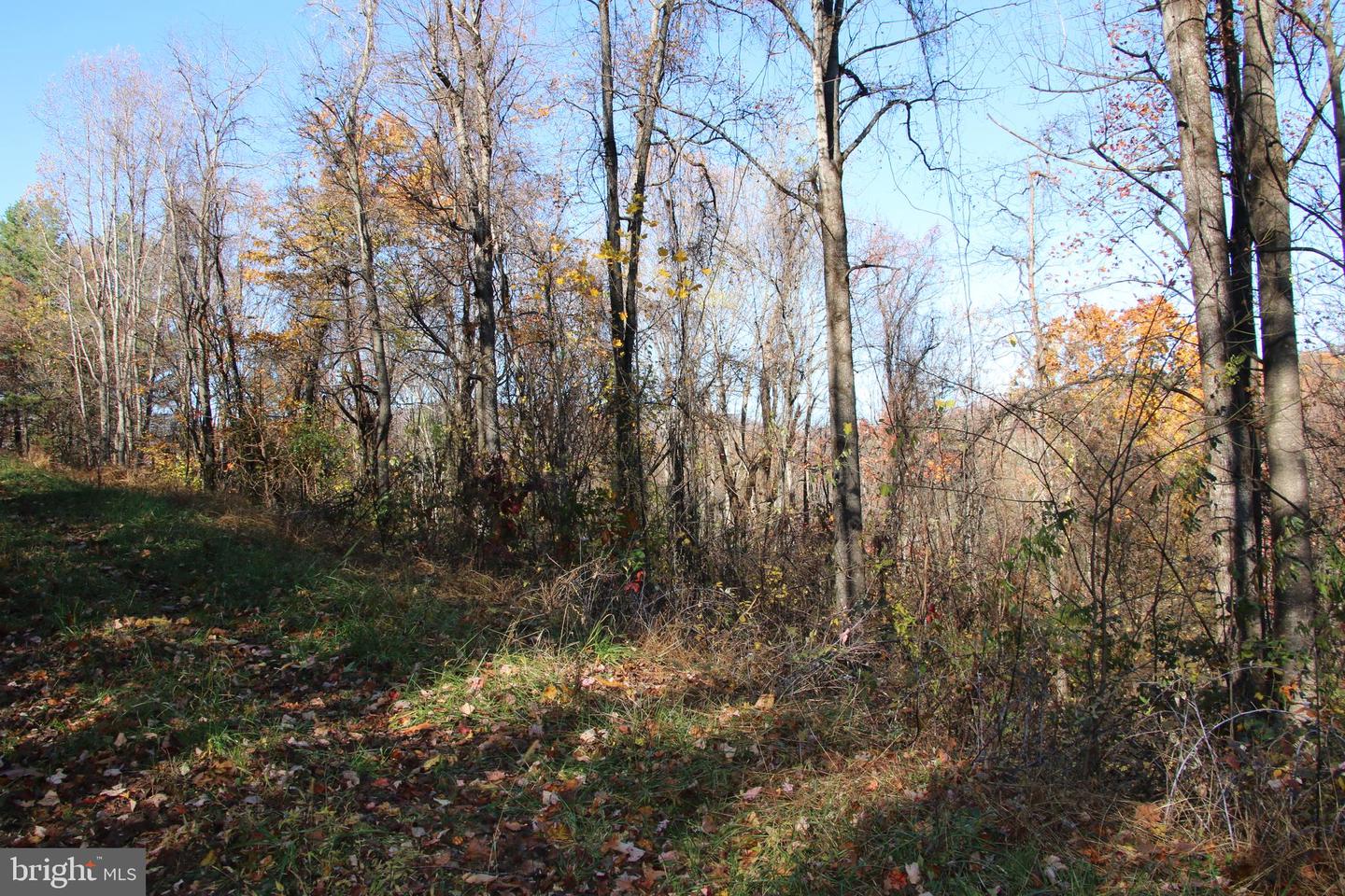 Overlook Mountain Rd Property Photo 17