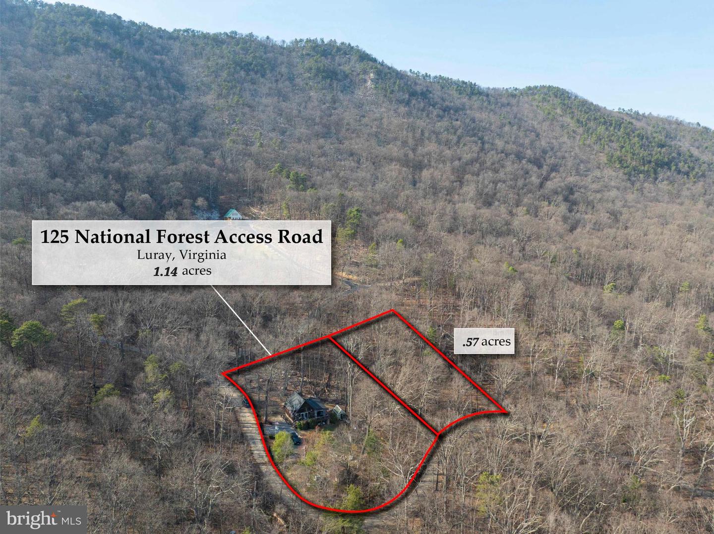 125 National Forest Access Rd Property Photo 19