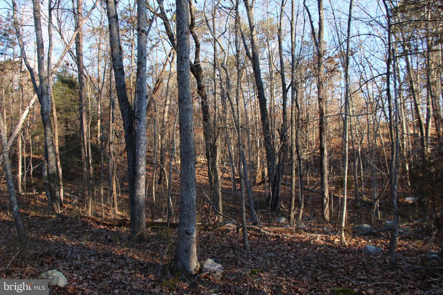 LOOKOUT DR Property Photo 1