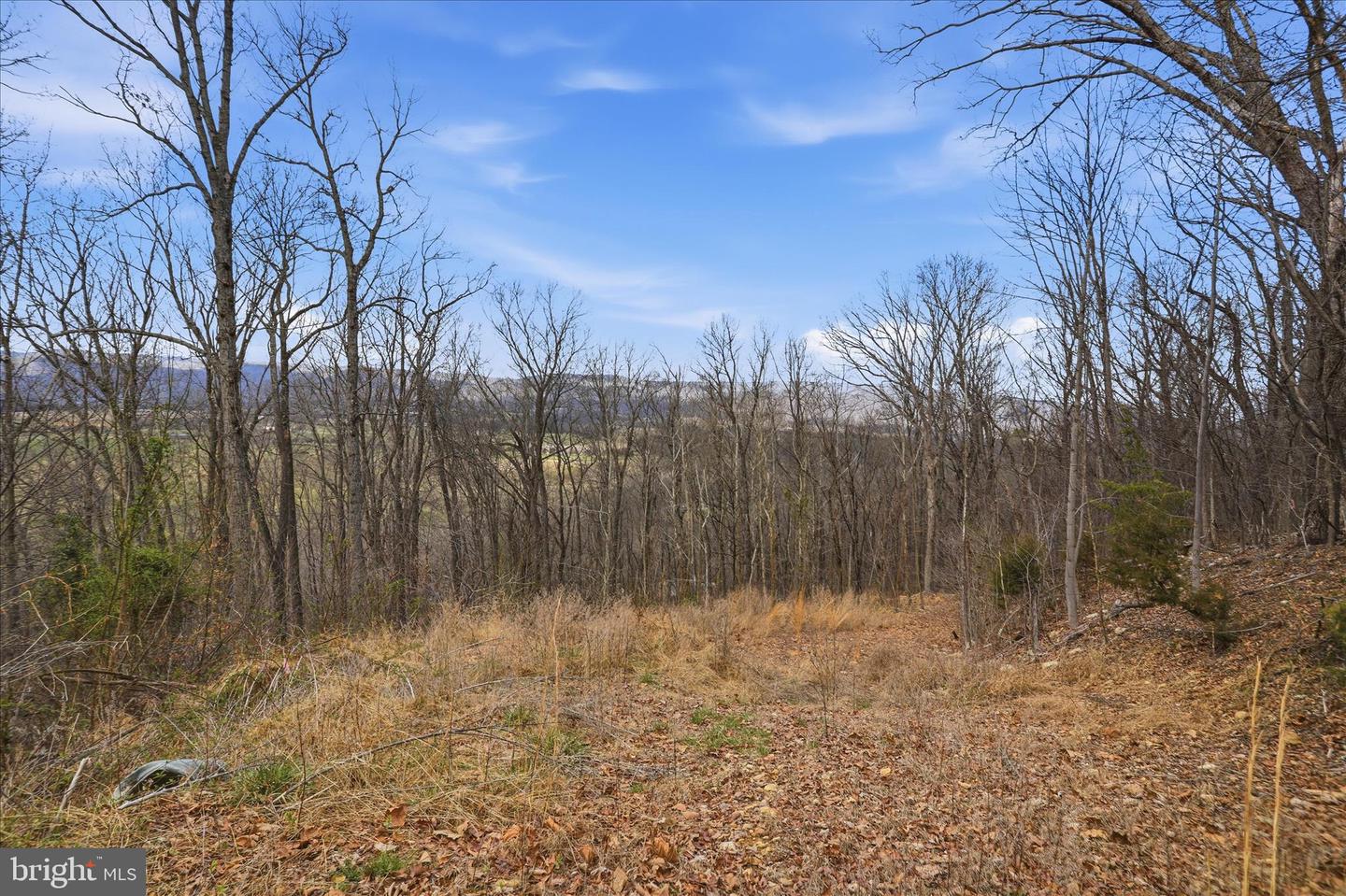 509 River View Pl Property Photo 2