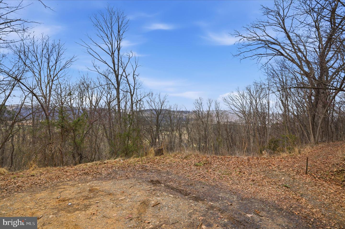 509 River View Pl Property Photo 8