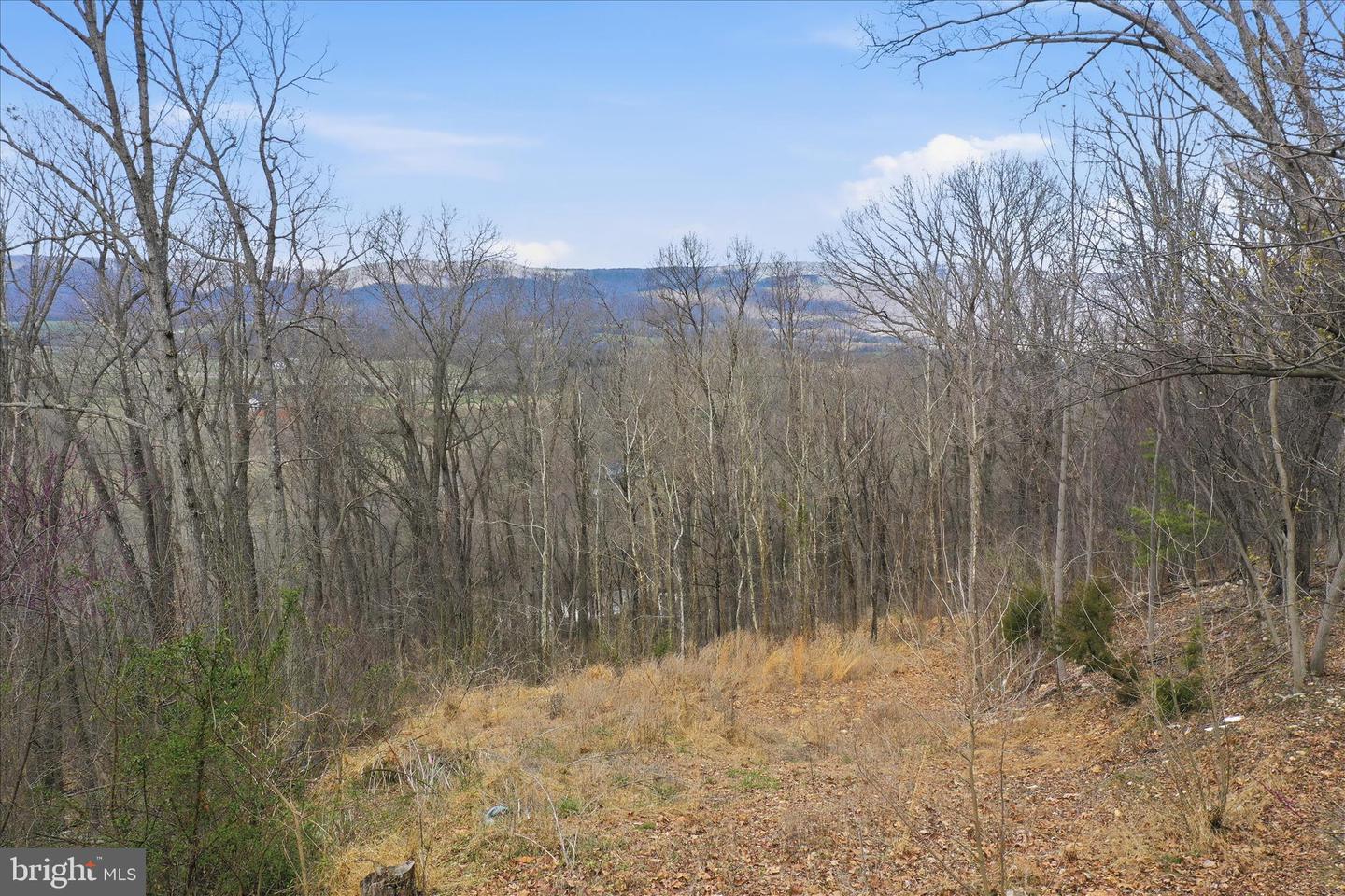 509 River View Pl Property Photo 14