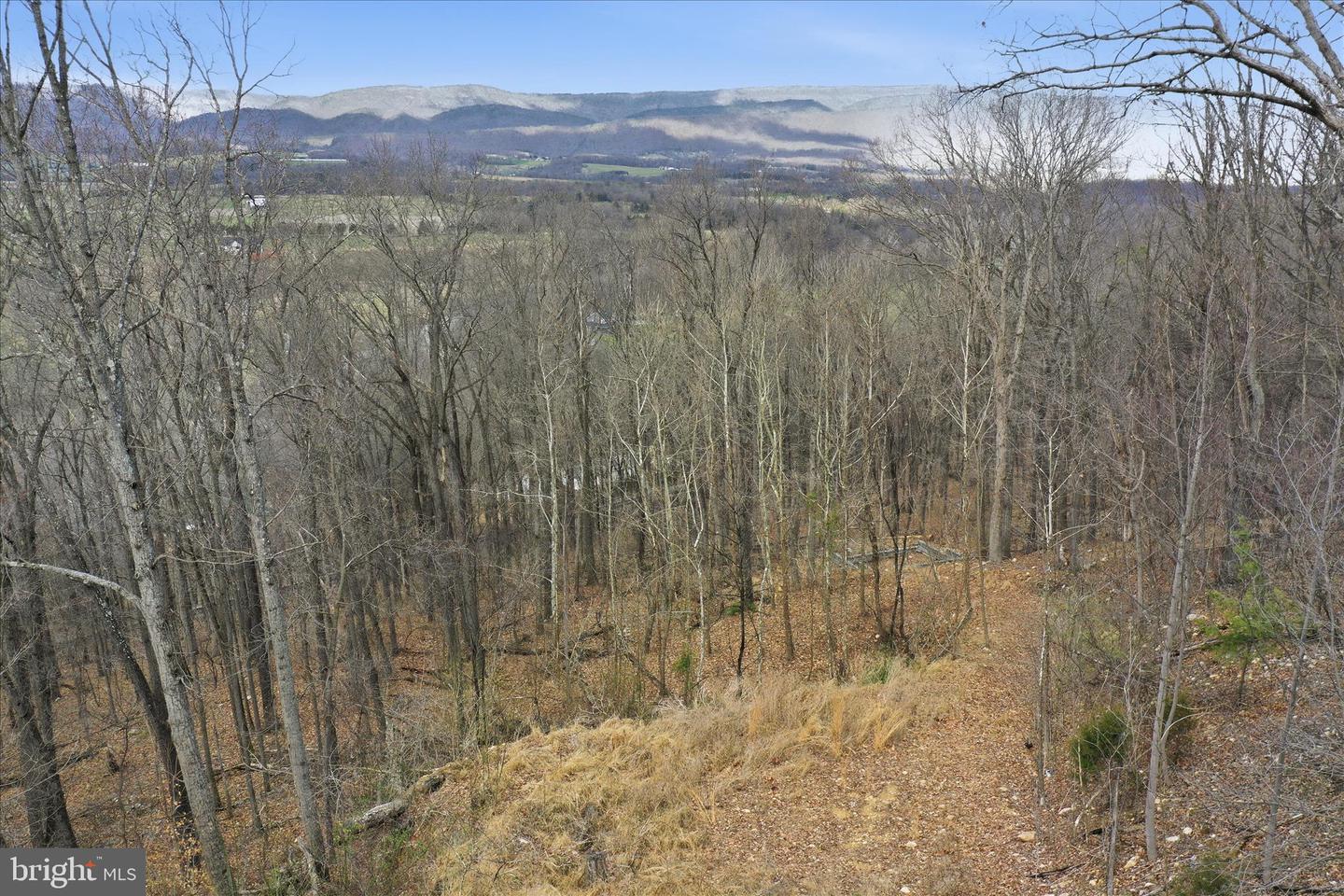 509 River View Pl Property Photo 15