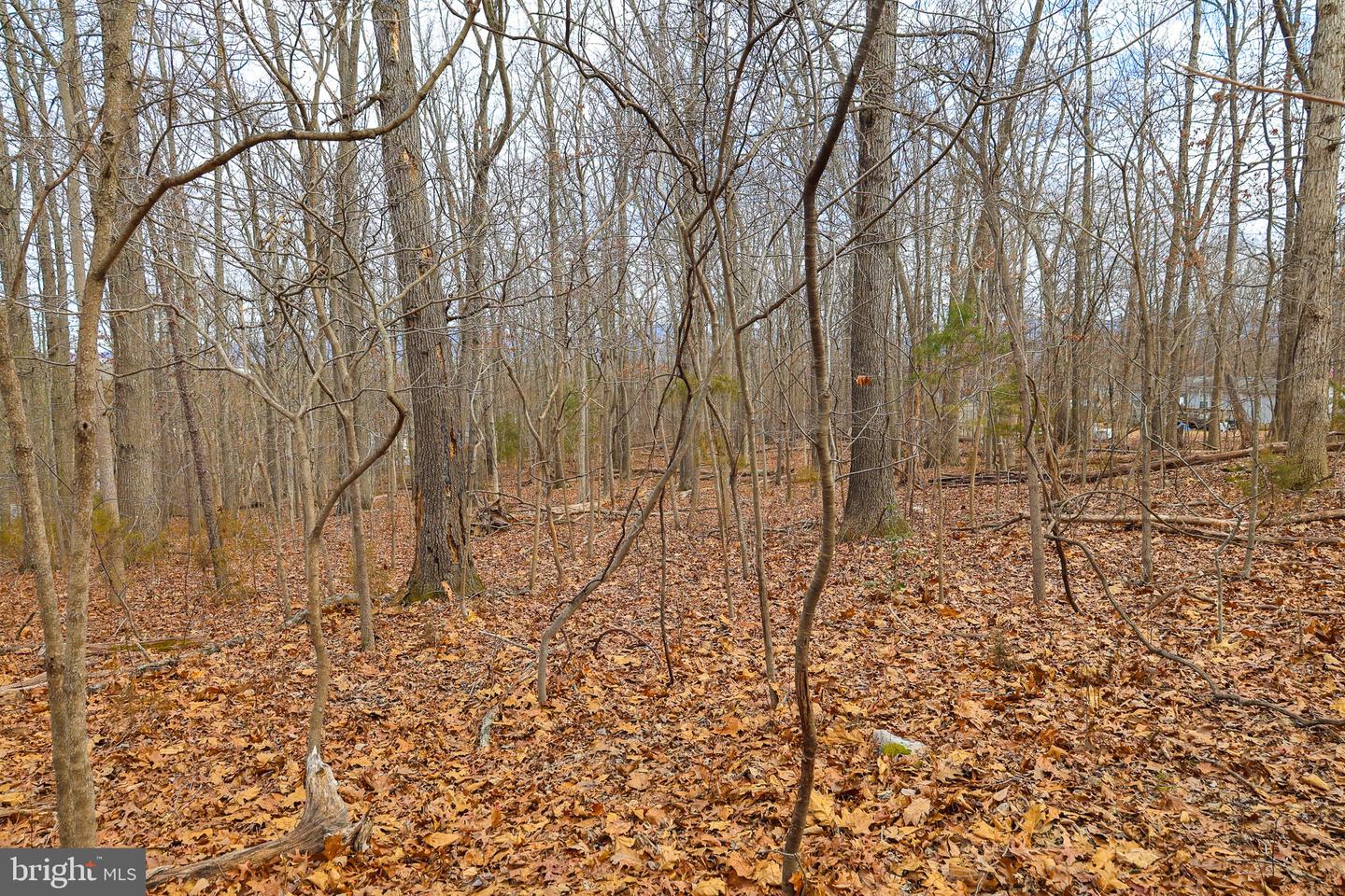 Lot 21 Riverbend Dr Property Photo 28
