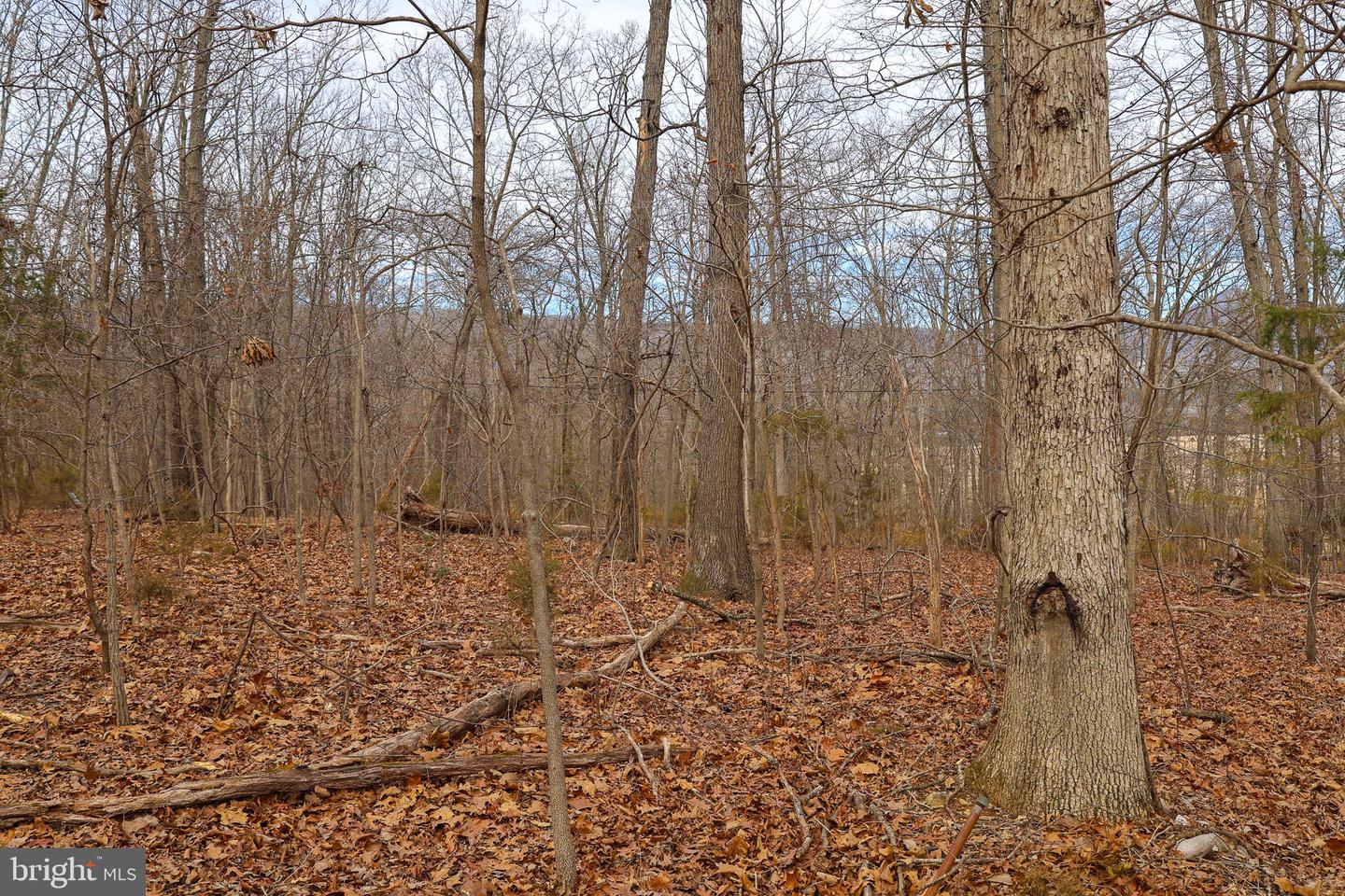 Lot 21 Riverbend Dr Property Photo 29