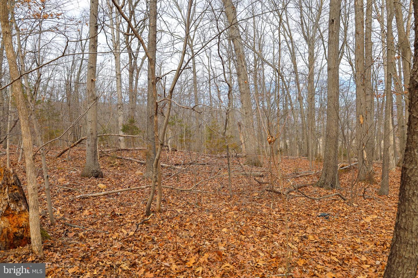 Lot 21 Riverbend Dr Property Photo 30