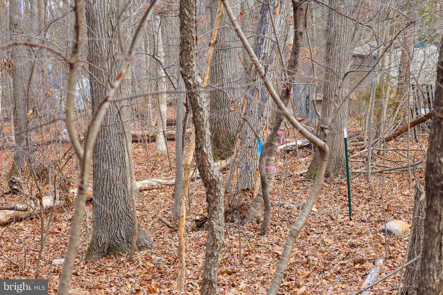 Lot 21 Riverbend Dr Property Photo 31