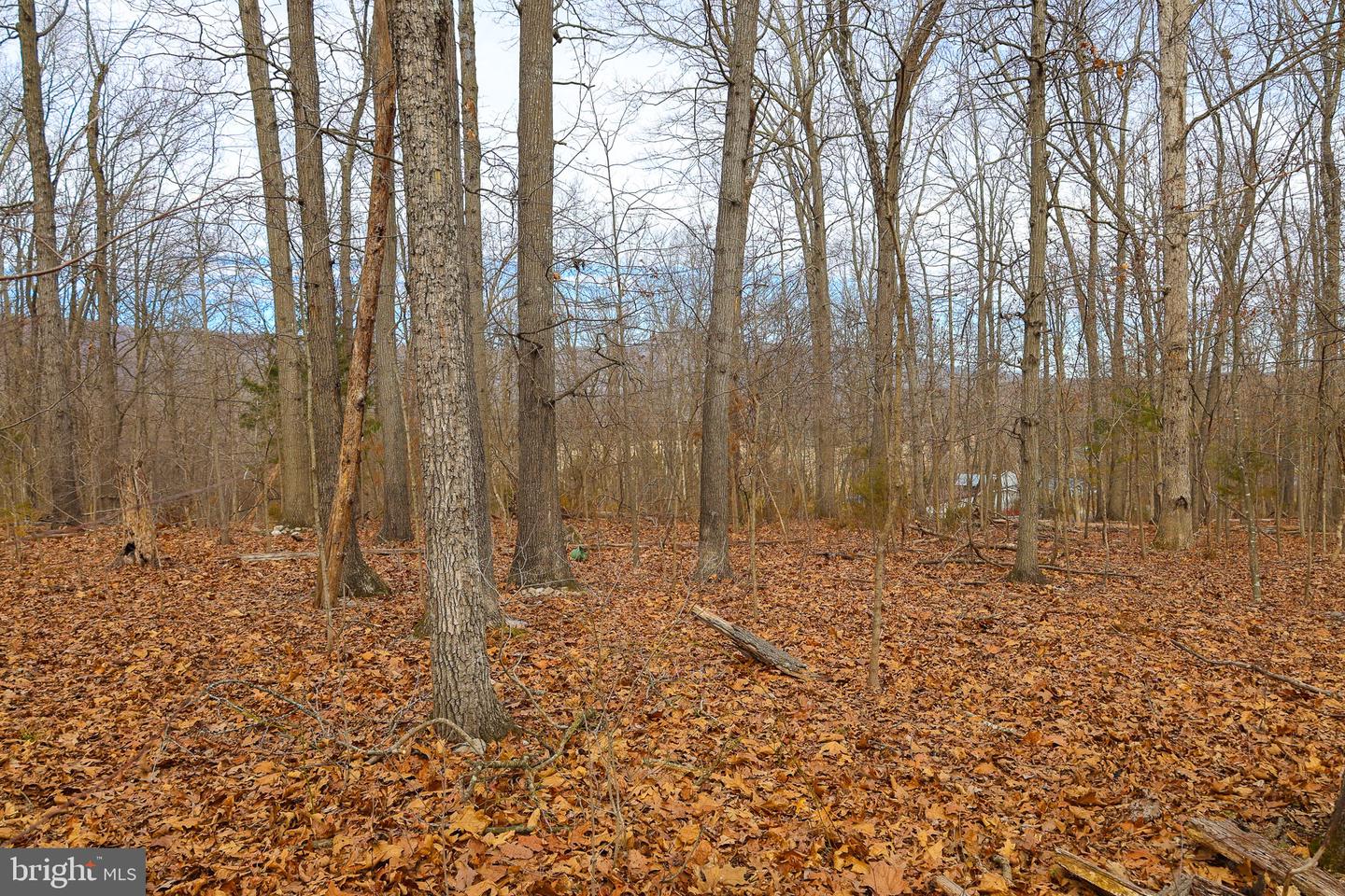 Lot 21 Riverbend Dr Property Photo 33